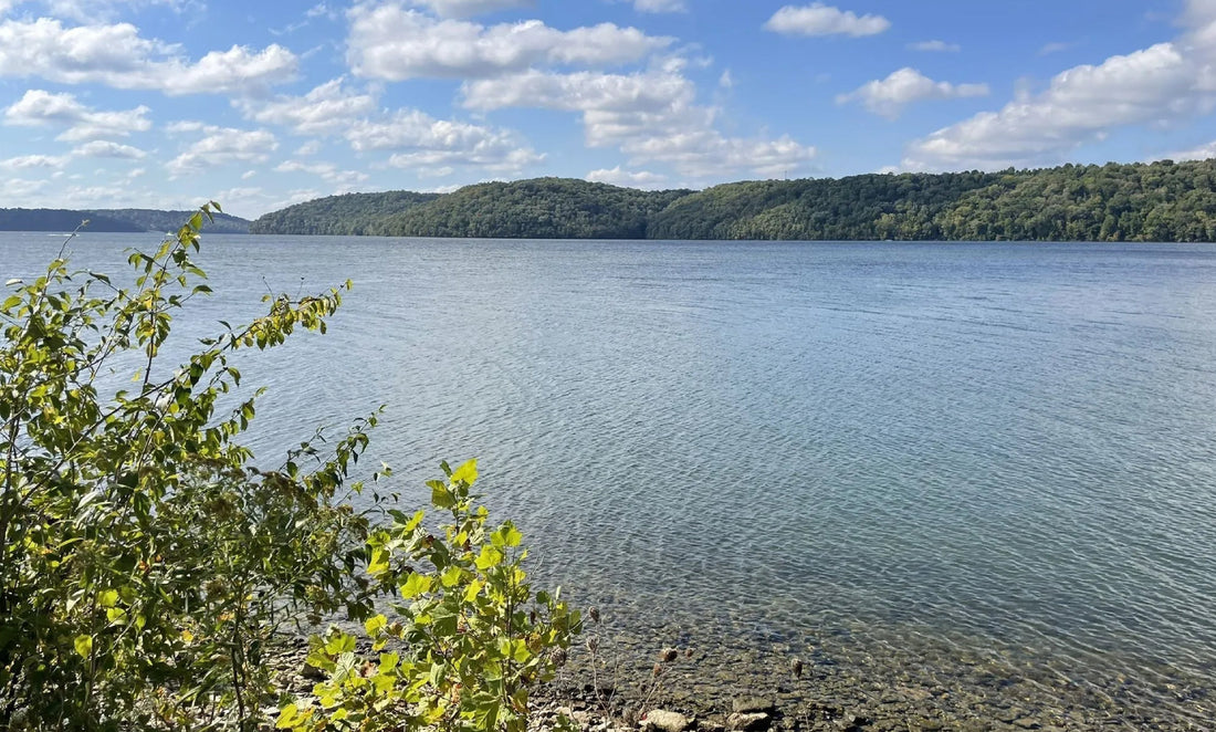 2026 INKBN State Championship Location Announced